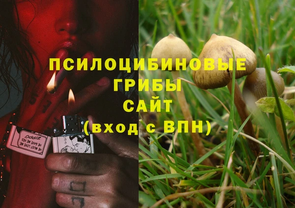 ALPHA-PVP Богданович