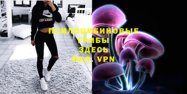 ALPHA-PVP Богданович