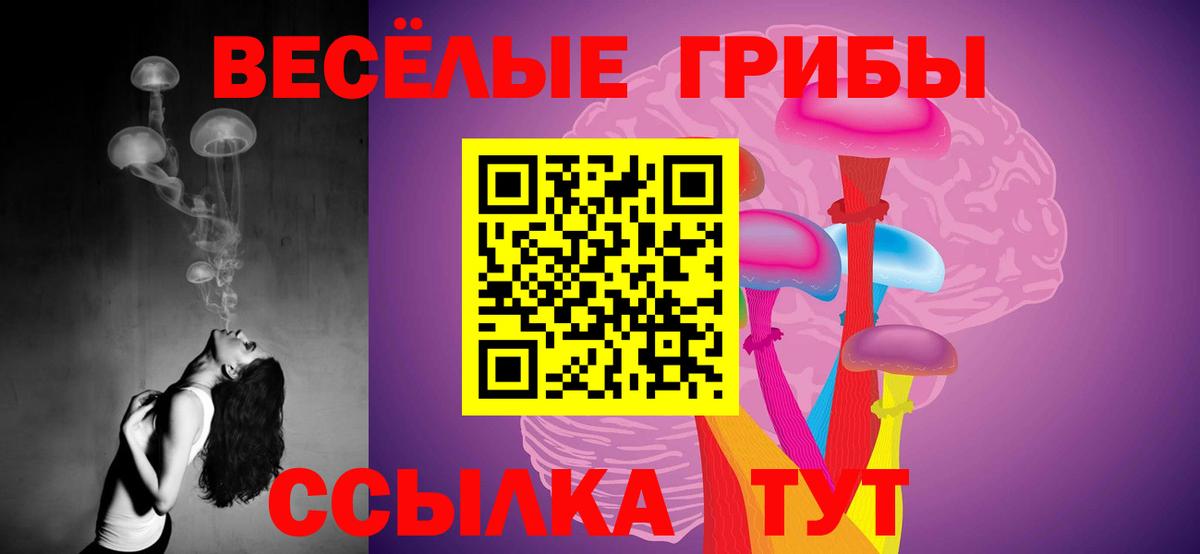 Галлюциногенные грибы Psilocybe  Вход с VPN  Галлюциногенные грибы Magic Shrooms  Реж 
